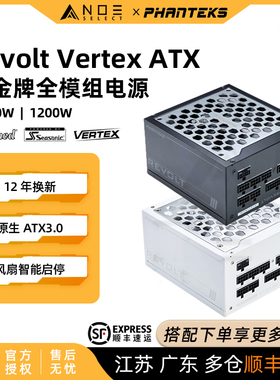 追风者Revolt Vertex 1000 1200 白金牌全模组原生ATX3.0电源海韵