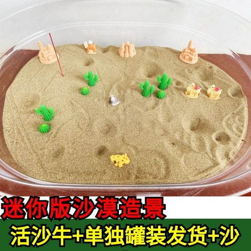 包活金沙牛蚁狮儿童昆虫宠物倒退虫沙婆婆地牛土牛奇异爬宠地牯牛