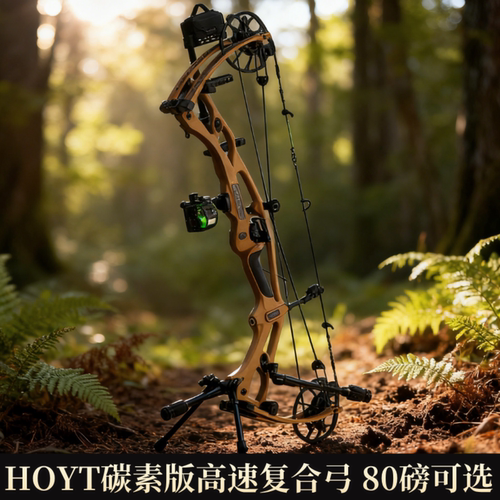 Hoyt旗舰复合弓RX9高性能进口弓