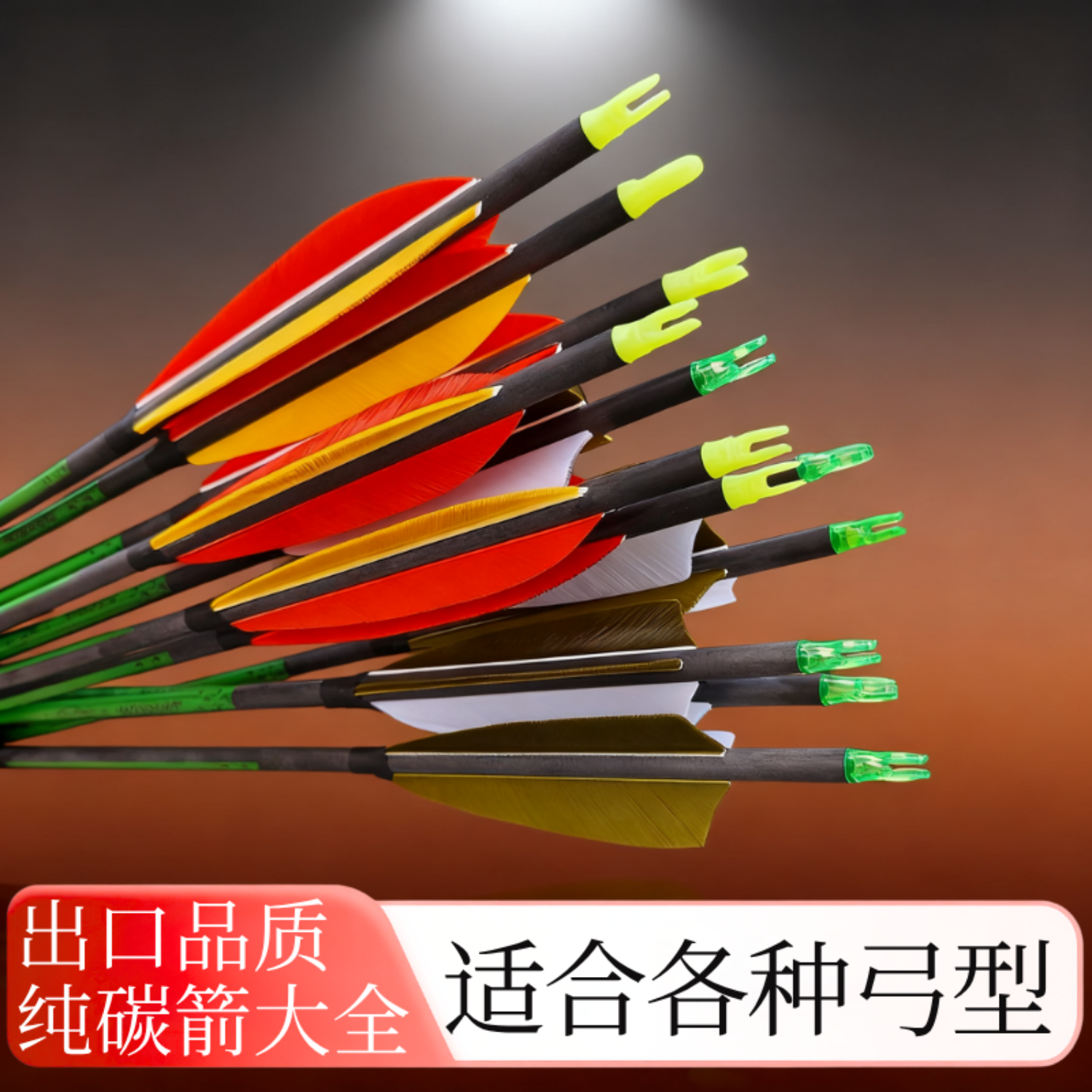 弓箭纯碳箭复合弓反曲弓