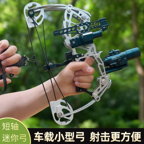 迷你弓箭小型短轴复合弓大威力