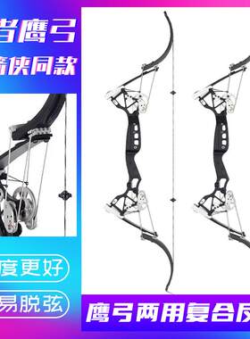 弓箭行者鹰弓户外射箭套装