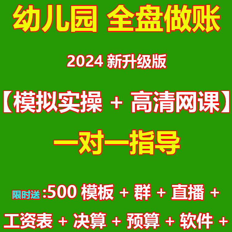 24公立公办幼儿园民办财务会计实务做账课程全盘真账实训网课教程