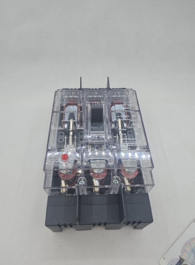 人民电器DZ15透明空气开关配电箱电闸过载短路保护 63A32A40A100A