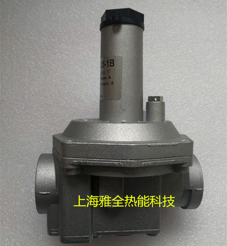 意大利集卡燃气调压阀 减压阀过滤器RG015HC-1B RG020/25HC-1B