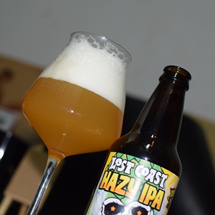 LOST COAST HAZY IPA 迷失海岸幽灵浑浊ipa精酿啤酒355ml*24瓶