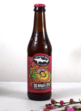 DogFish Head 角头鲨90/60分钟啤酒 印度淡色IPA啤酒355ml *6瓶