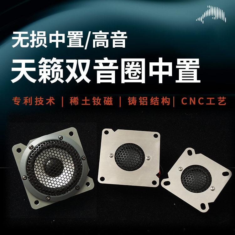 适用日产天籁/途乐双音圈中置高音分频喇叭海豚无损汽车音响改装