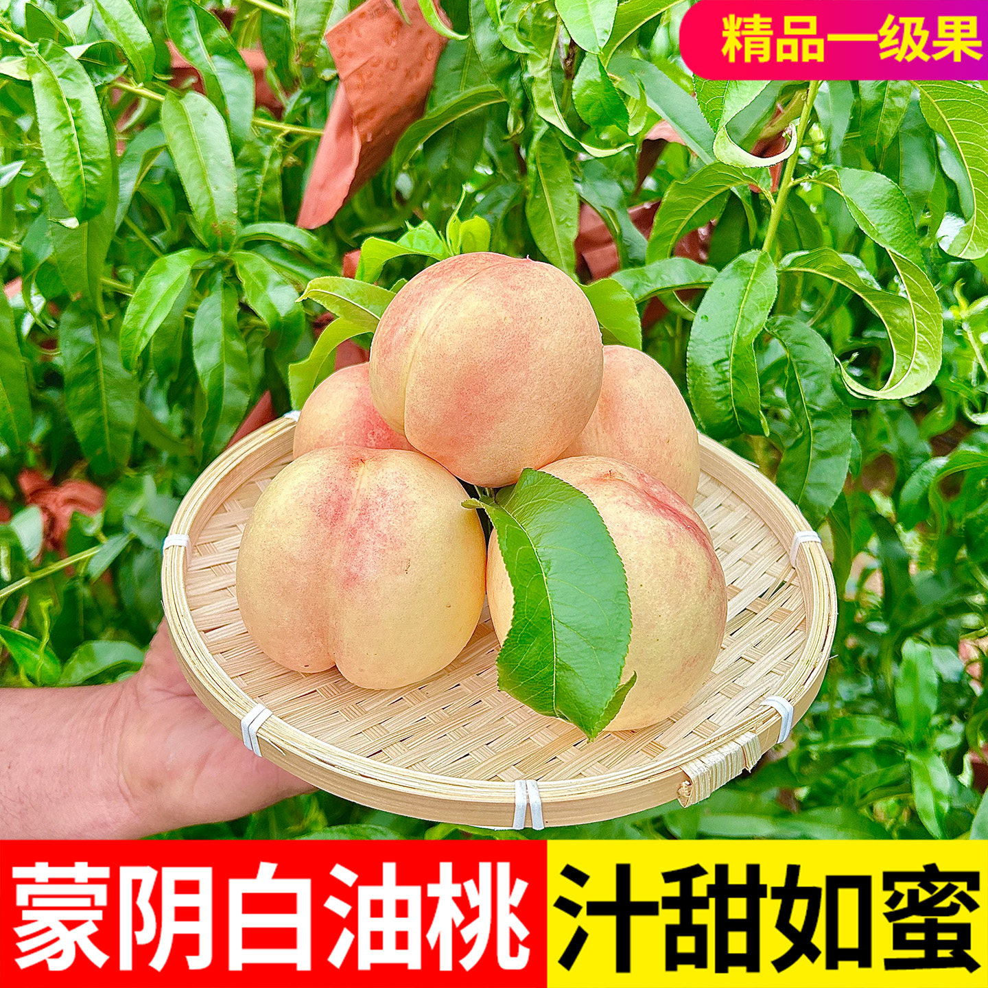蒙阴奶油蜜玉油桃白油桃新鲜水果白肉当季整箱香甜多汁应季桃子