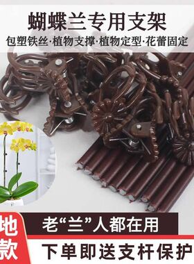 蝴蝶兰支架夹子爬藤类造型铁丝防倒伏园艺花卉植物支撑杆铁艺包塑