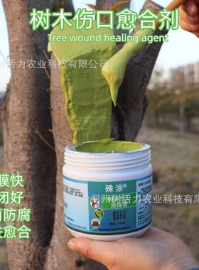 树木伤口愈合剂果树涂抹剂盆景愈合膏剪口封口胶涂膜剂修复涂抹膏