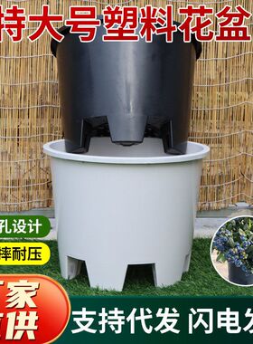 蓝莓盆特大花盆吹塑注塑加仑盆苗圃专用加厚大号育苗盆大花盆批发