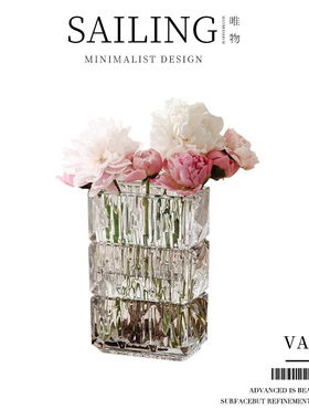 Sailing花瓶摆件客厅装饰水培插花瓶玻璃透明ins风轻奢漂亮高级感