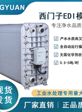 IONPURE西门子 EDI膜堆LXM超纯水处理稳定出水16兆欧电子半导体