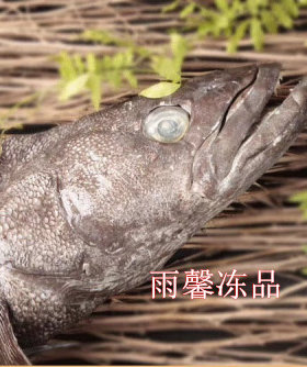 进口银鳕鱼头深海鳕鱼头雪鱼头犬牙鱼头400-600-8001箱24斤