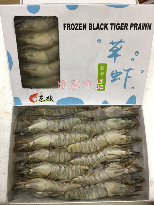 越南活冻黑虎虾草虾6-8青明虾 大对虾1箱6盒 整箱出售 每盒约24只