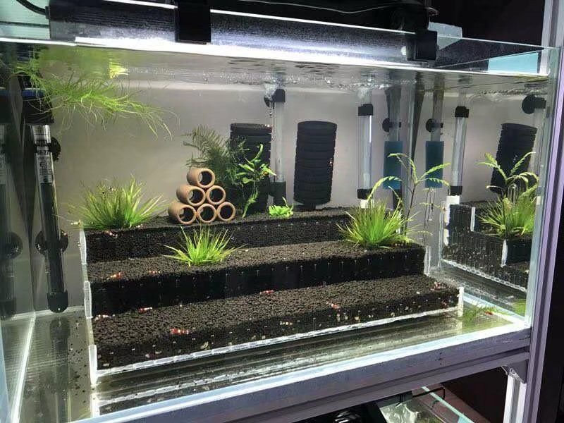 草缸梯田亚克力透明水晶虾鱼水草造景泥盒子透明观赏缸虾缸造景,橡塑材料及制品,亚克力/有机玻璃,淘宝优惠券,粉丝福利购,淘宝优惠卷