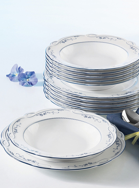 德国原装进口Seltmann Weiden蓝色藤蔓系列餐具12件套6平盘6汤盘
