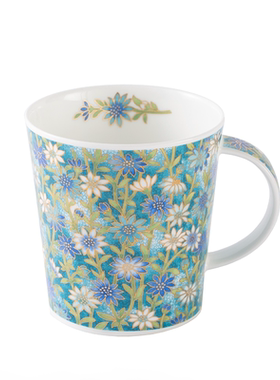 英国丹侬Dunoon骨瓷水杯子蓝色欧式马克杯陶瓷杯高颜值高级感轻奢