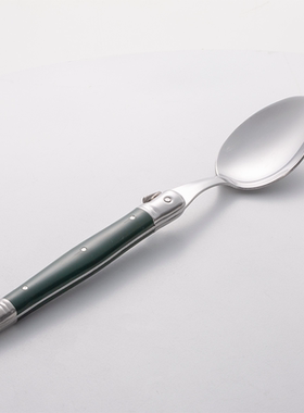 法国André Verdier不锈钢西餐小勺子甜品勺子精致16cm热带雨林绿