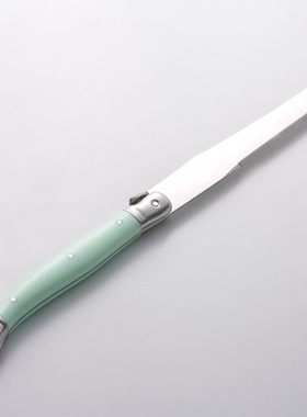 法国André Verdier DEBUTANT薄荷绿不锈钢正餐刀西餐刀具牛排刀