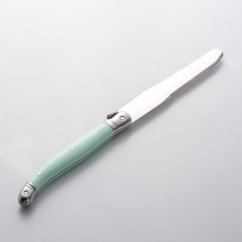 法国André原装不锈钢西餐刀