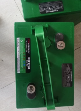 进口TCED邱健蓄电池电瓶6V225AH高尔夫球车 扫地机 升降机专用