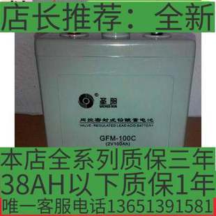 UPSEPS直流屏机房应急设备专用 圣阳蓄电池2V100AH免维护GFM 100C