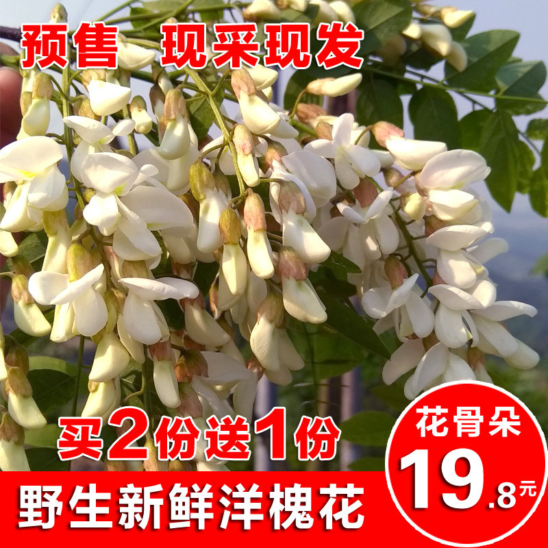 现采新鲜野菜洋槐花骨朵花苞花包蔬菜菜榆钱买2送1包邮