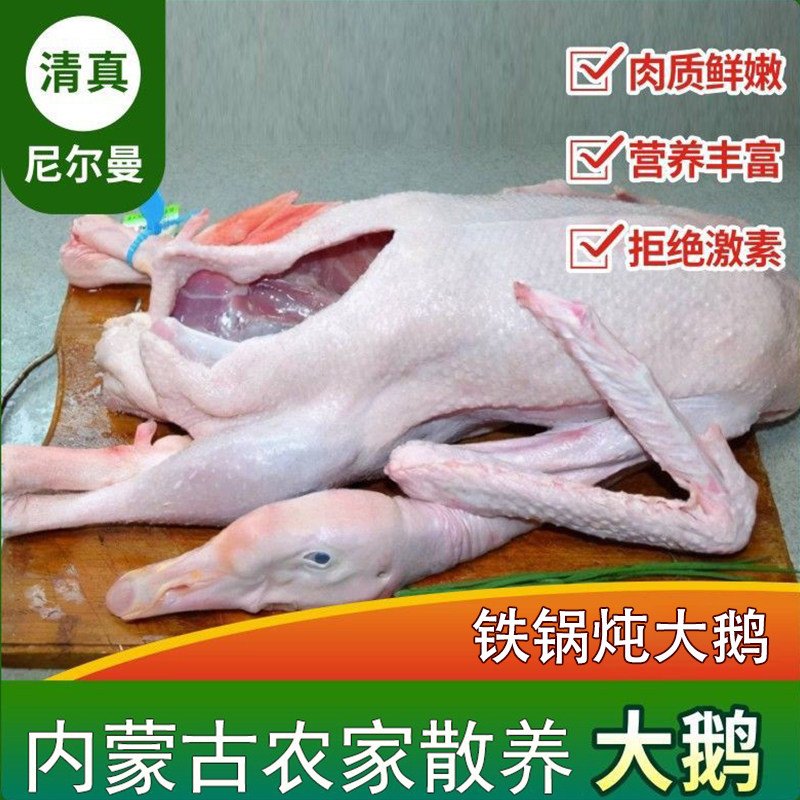 清真鹅肉新鲜大鹅内蒙古大白鹅整只生鲜冷冻草娥嫩仔鹅铁锅炖,水产肉类/新鲜蔬果/熟食,鹅肉/鹅肉制品,淘宝优惠券,粉丝福利购,淘宝优惠卷