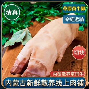 清真生牛蹄内蒙古黄牛新鲜冷冻整只个带皮带骨牛蹄掌火锅牛脚生鲜
