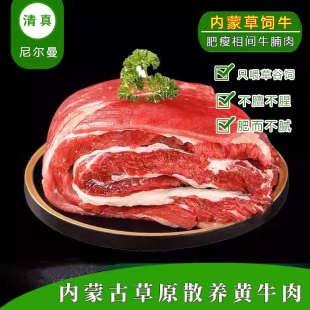 清真内蒙生鲜黄膘牛腩肉块肋条牛筋牛杂冰冻新鲜冷冻番茄原切牛肉