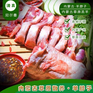 清真新鲜羊脖子带肉内蒙古草原羊生鲜冷冻羊肉烧烤火锅带骨羊颈