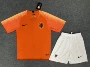 2016-17-18-19Dutch jersey 2018 Hà Lan sân nhà và sân khách Đồng phục bóng đá tập luyện thi đấu Robben - Bóng đá quần áo bóng đá size châu âu	