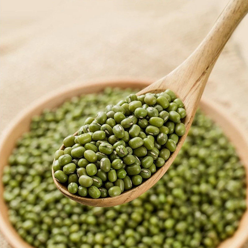 孟克河有机绿豆450g纯素食五谷杂粮绿豆汤粥豆沙原料颗粒饱满软糯