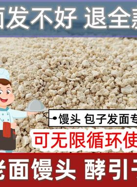 老面馒头发酵引子老酵子老面肥老面引子传统天然酵母老面头发酵粉