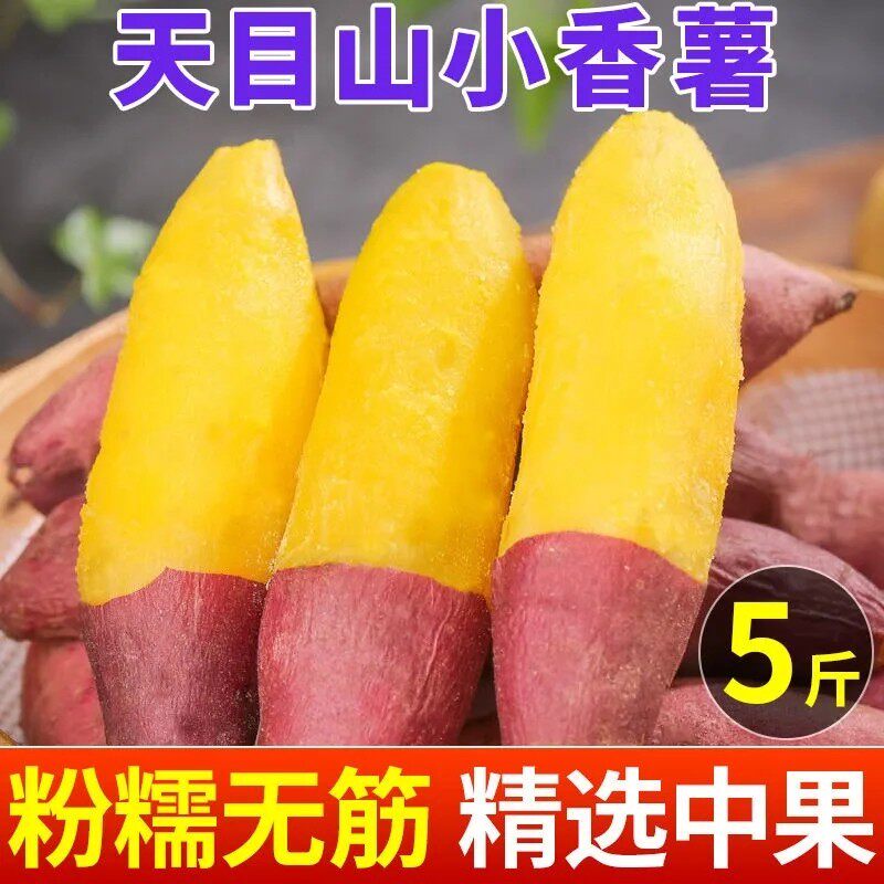 天目山薯红薯迷你山芋地瓜现挖现发金手指小香薯小红薯非紫薯新鲜