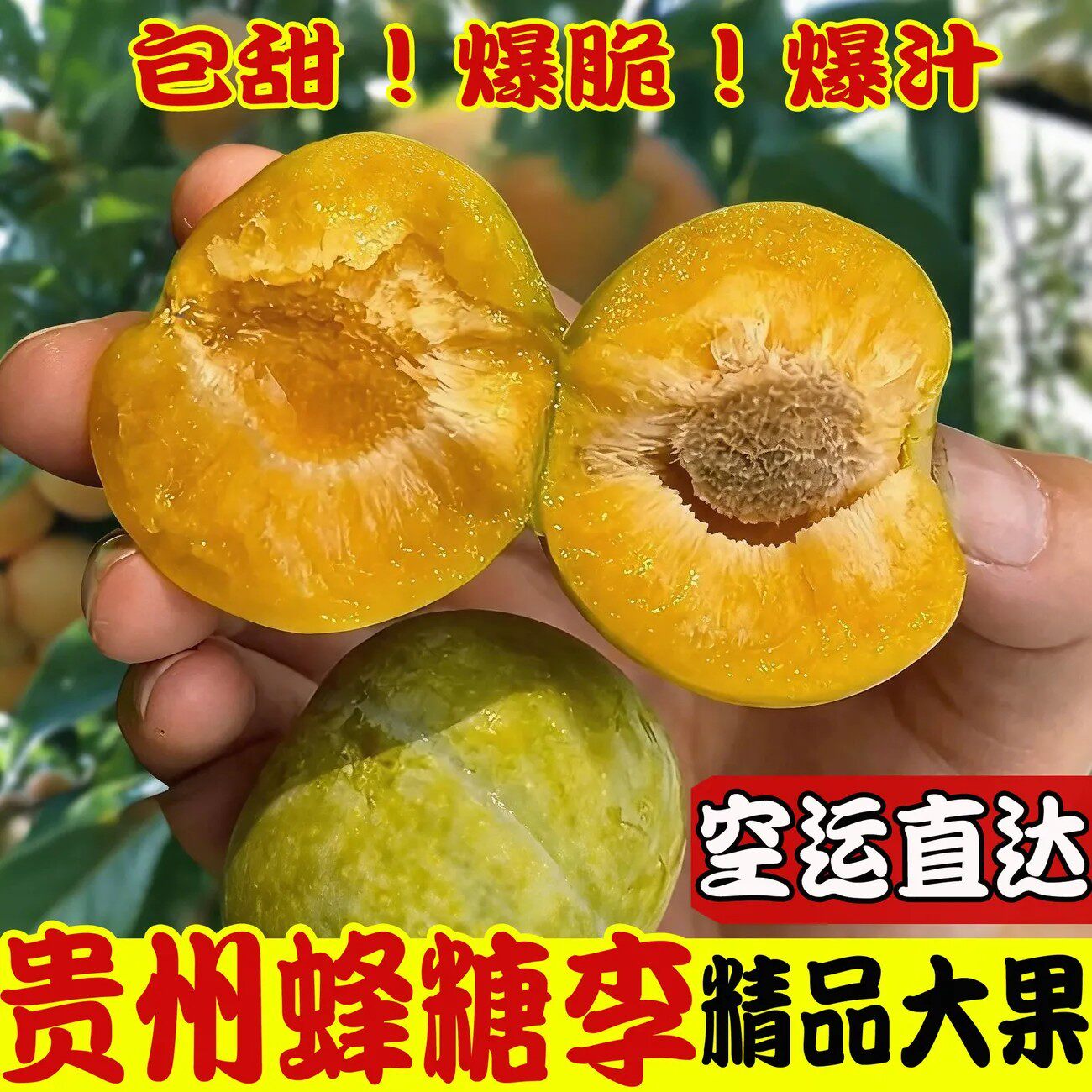 贵州蜂糖李正宗新鲜当季孕妇水果蜂密李青脆李子脆甜脱骨李大果