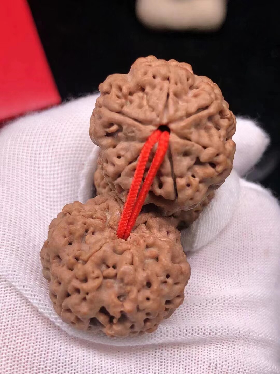 【惠】弥刻6瓣23mm头货矮桩爆肉蜂窝尼泊尔大金刚菩提子手串