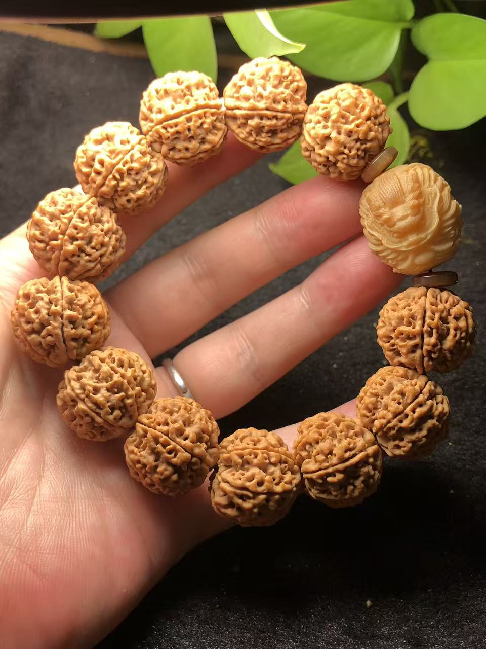 一物一拍藏品尼泊尔6瓣22mm大爆肉蜂窝矮桩大金刚菩提子手串佛珠