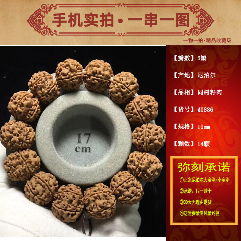 尼泊尔同树籽大金刚文玩菩提佛珠