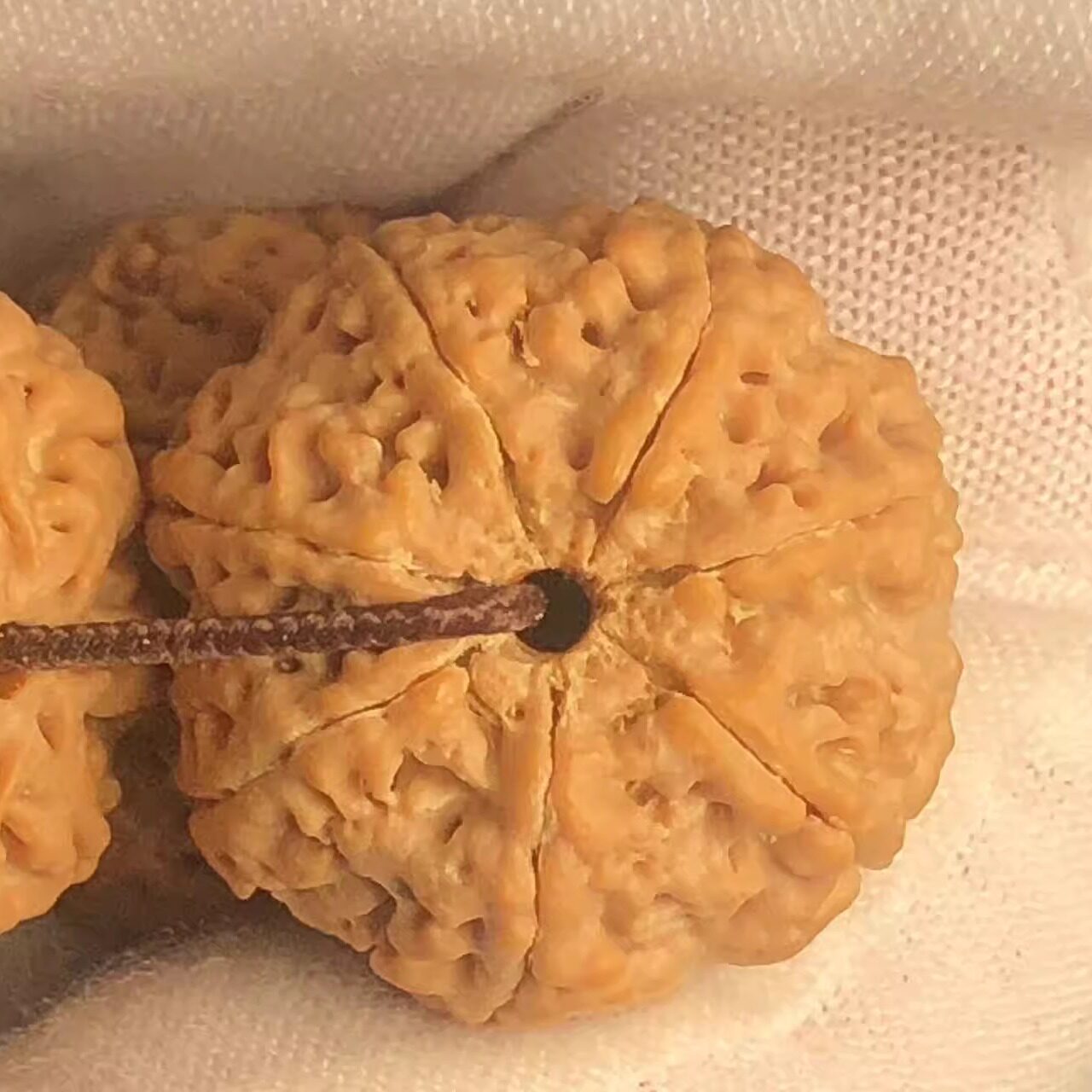 天花板蜂王7瓣22mm尼泊尔金刚菩提子手串男佛珠文玩念珠黄皮沉水