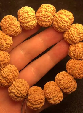 7瓣22mm尼泊尔大金刚菩提子手串男原籽正品文玩佛珠单圈黄皮沉水