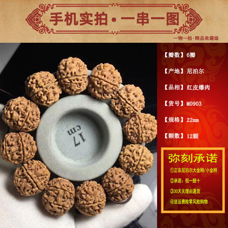 弥刻六瓣尼泊尔红皮同树籽爆肉大金刚6瓣22mm菩提佛珠手串