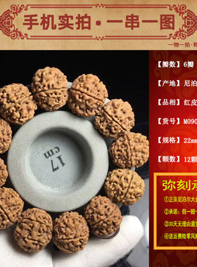 尼泊尔同树籽爆肉大金刚菩提佛珠