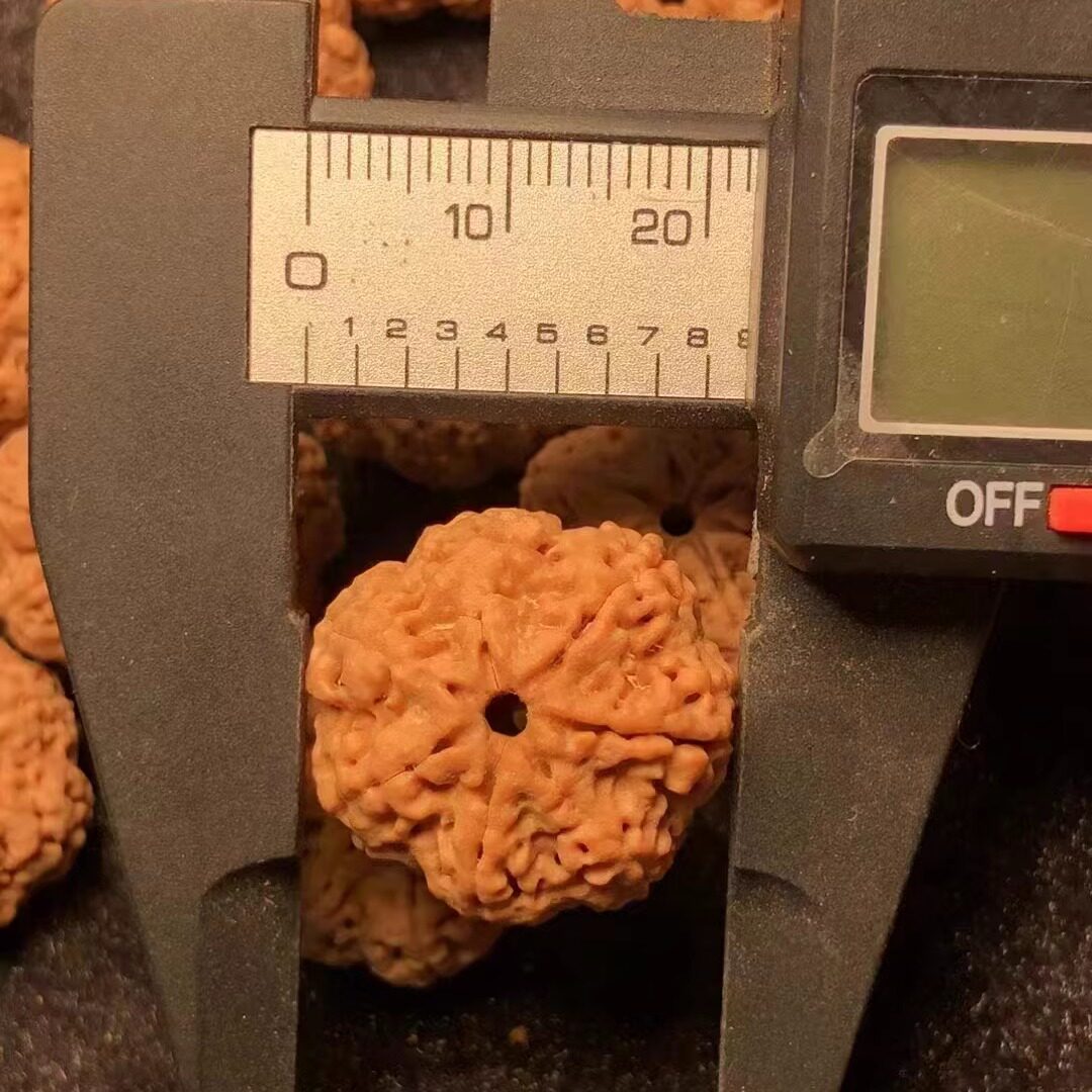 7瓣峰王文玩大金刚菩提子