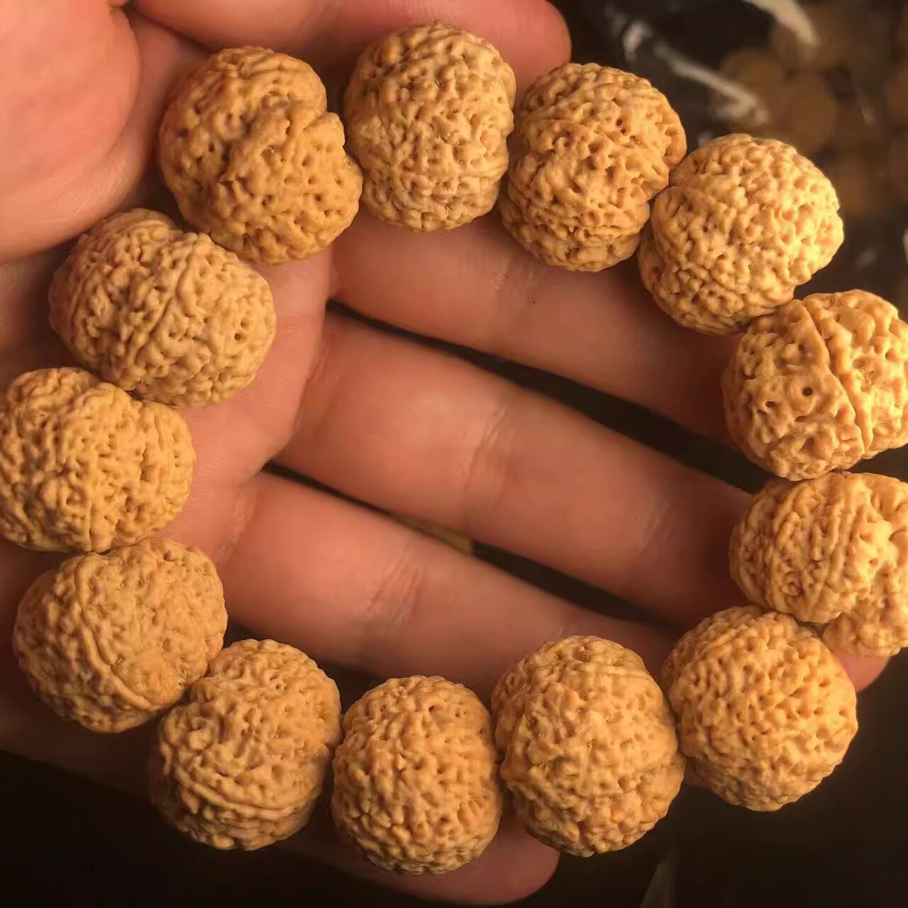 尼泊尔满肉针孔7瓣蜂王姜黄皮