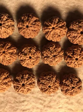 7瓣23mm蜂王金刚菩提手串