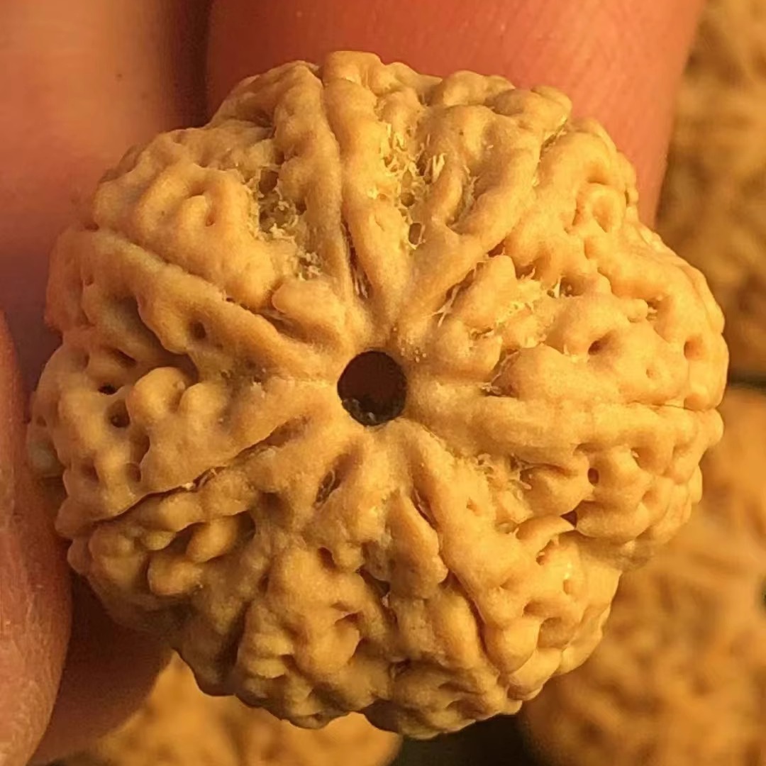 精品尼泊尔21-22mm手串峰王原籽