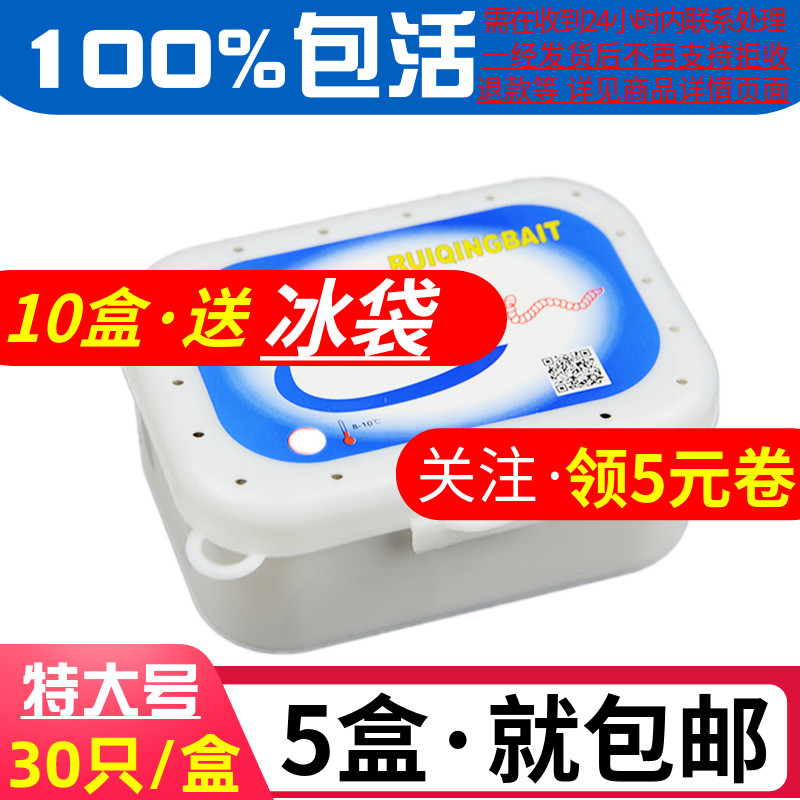 蜜袋鼯吃玉米虫钓鱼鱼饵葡萄蜜虫